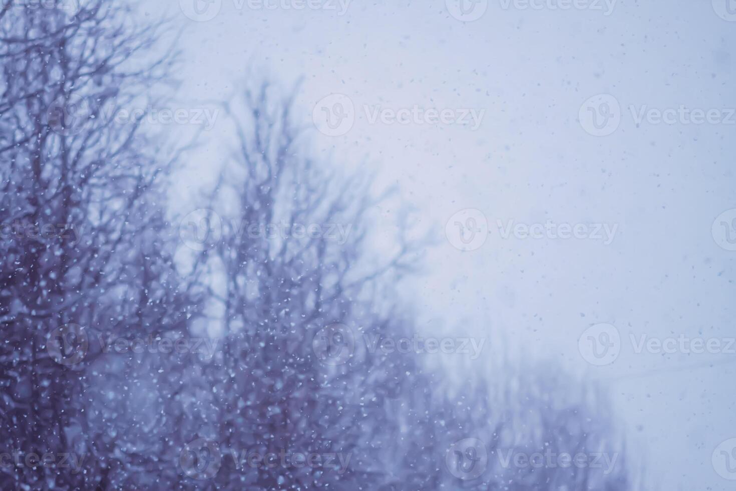 Blurred winter nature background. Snow overlay. photo
