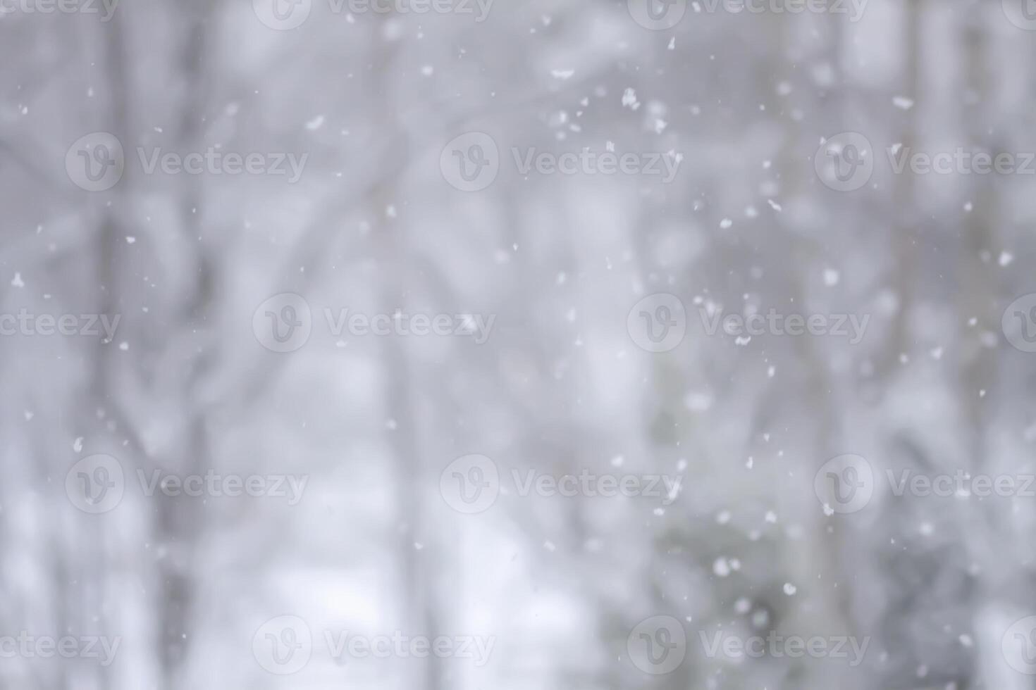 Blurred winter nature background. Snow overlay. photo