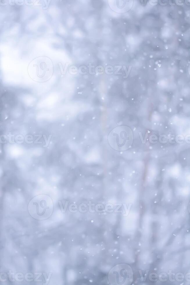 Blurred winter nature background. Snow overlay. photo