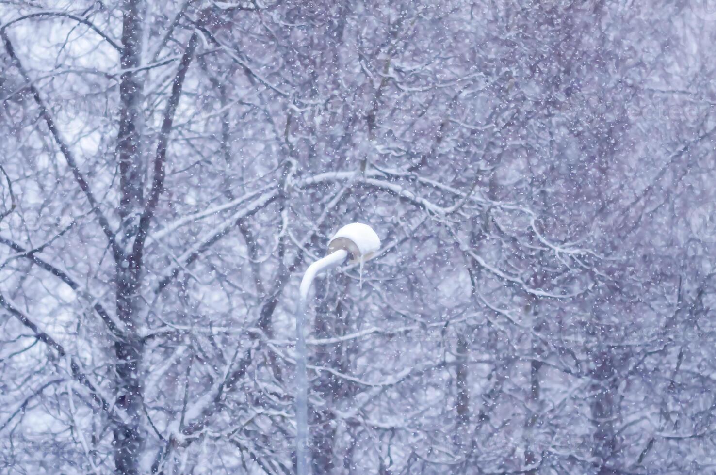 Blurred winter nature background. Snow overlay. photo