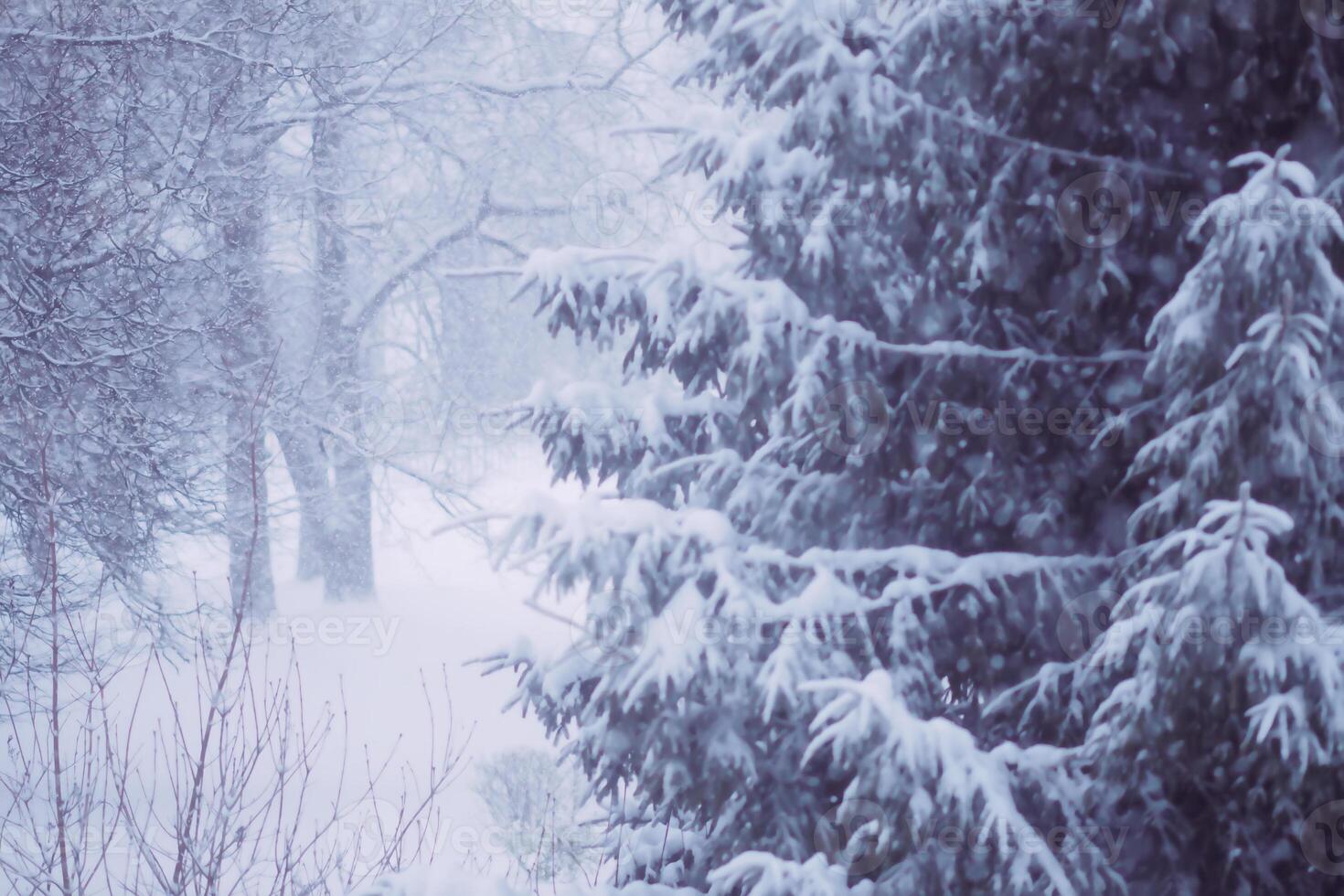 Blurred winter nature background. Snow overlay. photo