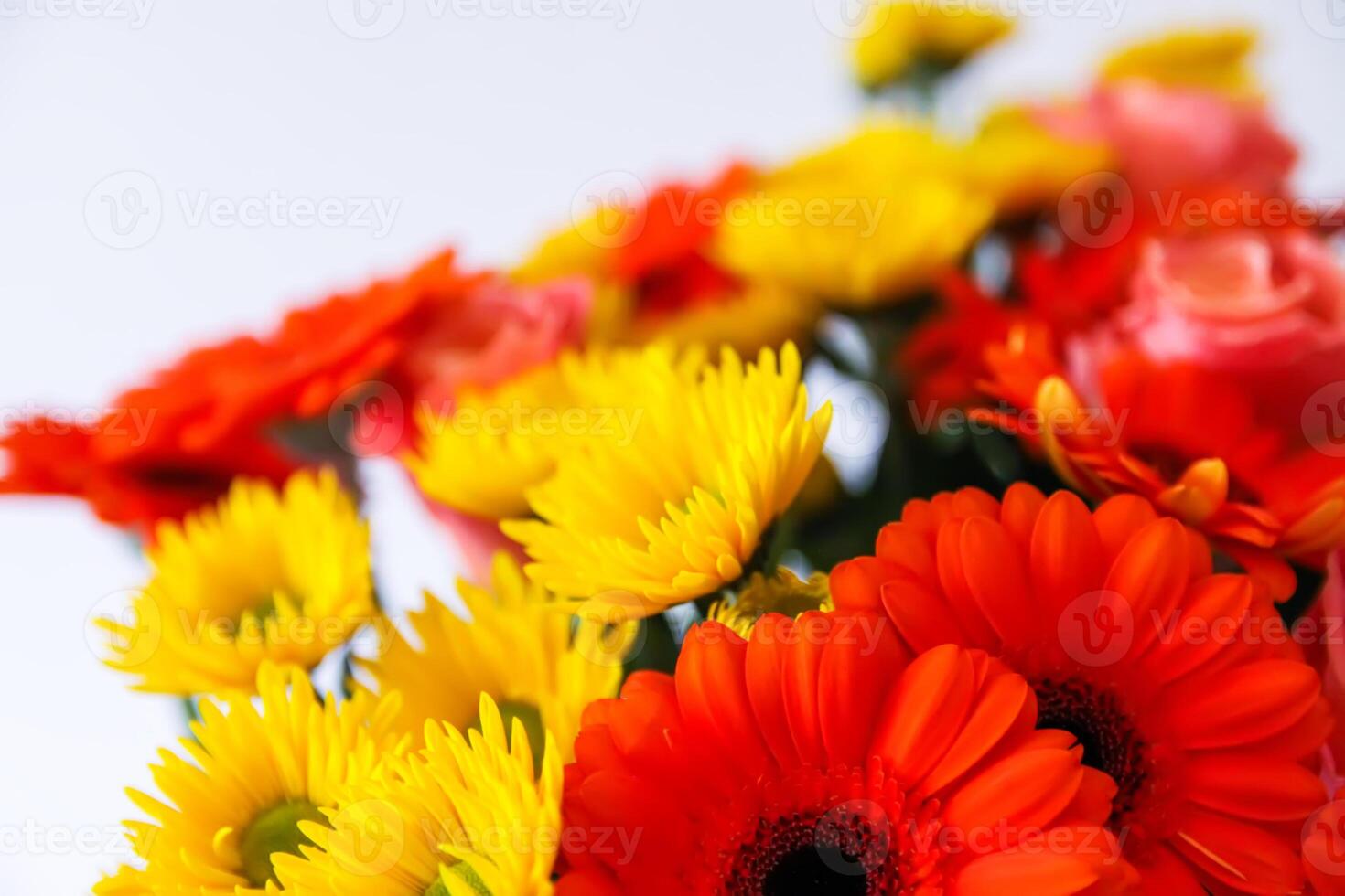 Beautiful bright bouquet of gerbera flowers. photo