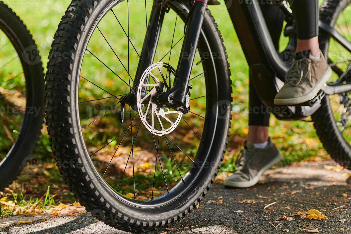 A sports bicycle races through the park, its components in focused motion spinning wheels, agile pedals, and sleek handlebars creating a dynamic spectacle of athleticism and speed against the backdrop photo