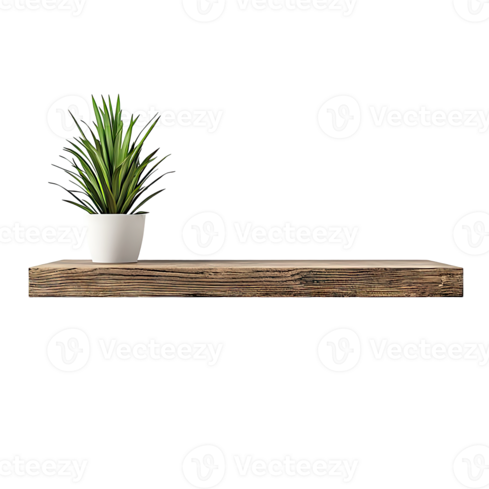 Rustic Charm A Simple Wooden Shelf with a Lush Green Plant, Perfect for Displaying Your Treasures. png