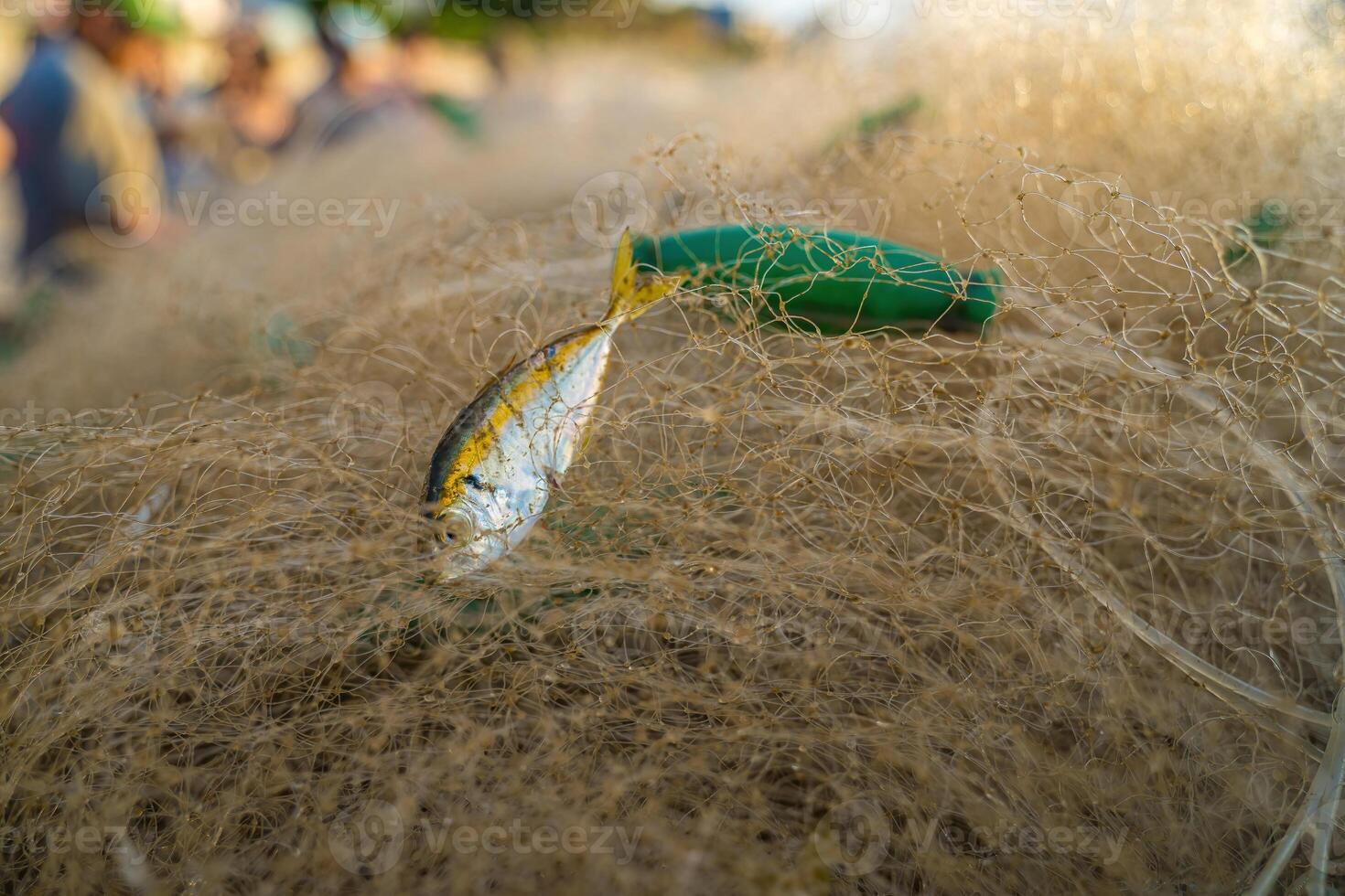 Sea nets - fishing equipment or tackle as texture backdrop with natural sunlight and shadow. Blue textured background of fishing nets close-up, marine design for craft of fishermen. photo
