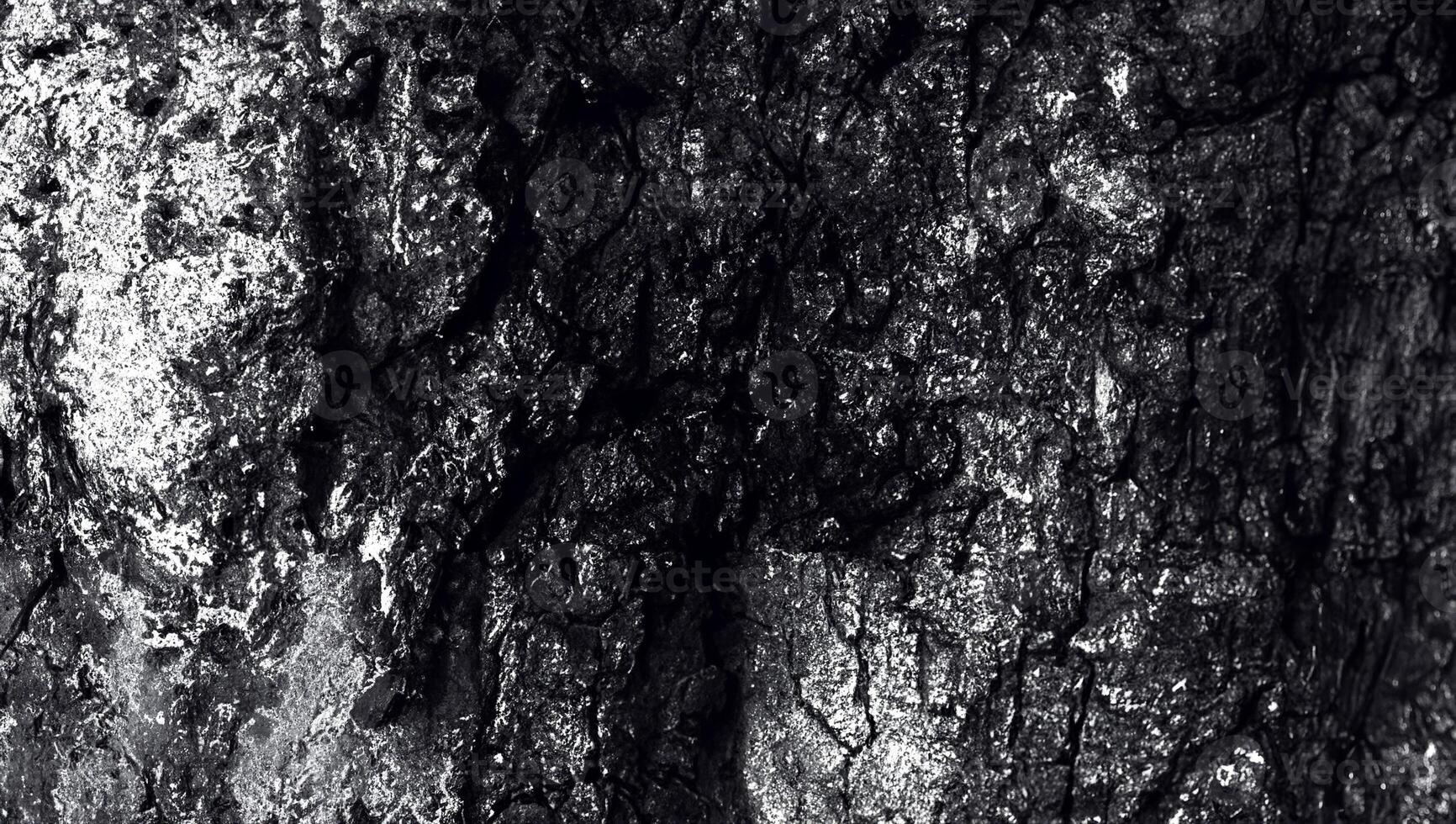 black wood texture photo