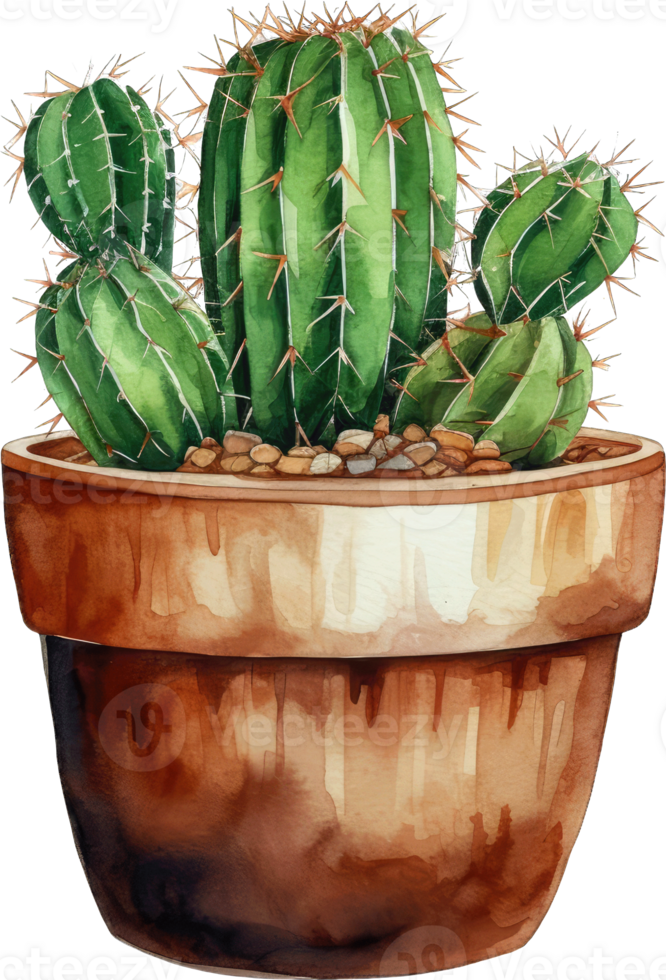 A watercolor drawing of a cactus in a pot png