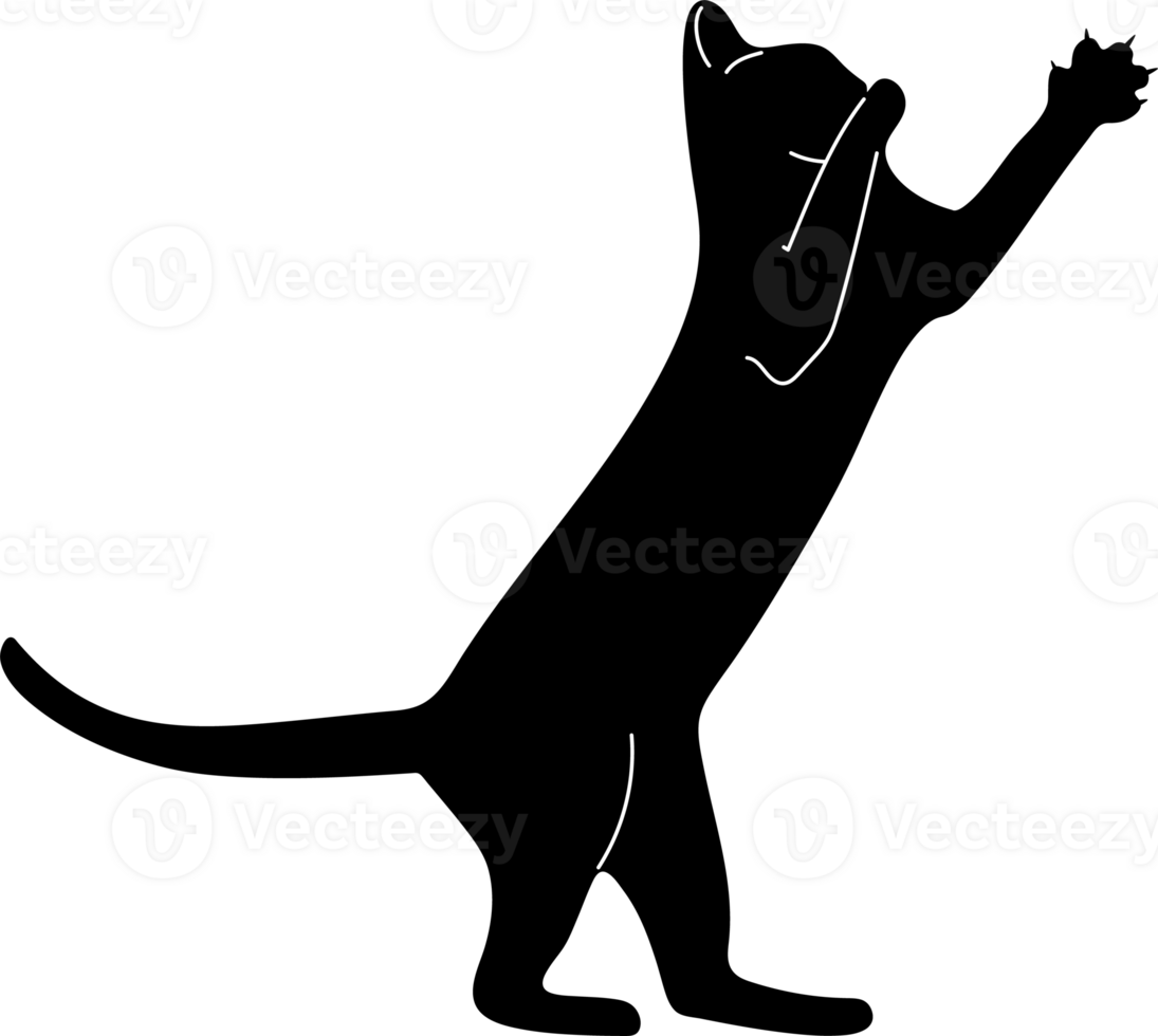 illustration of silhouette black cat playing and stand with two feet no people transparent background. png