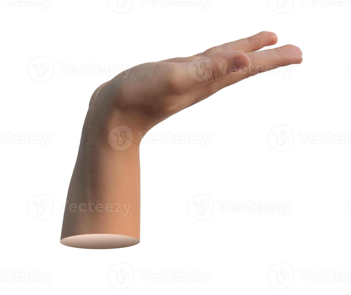 Hand gesture, showing, presenting something isolated on white background photo