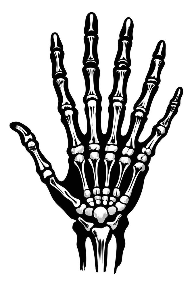 Detailed Illustration of a Black Skeleton Hand with Bone Structure. Halloween-Themed Graphic Design vector