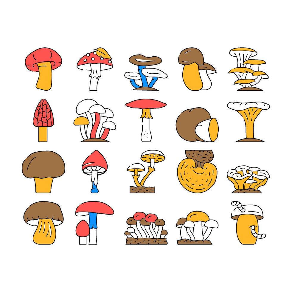 Mushroom Vegetable And Fungus Icons Set vector
