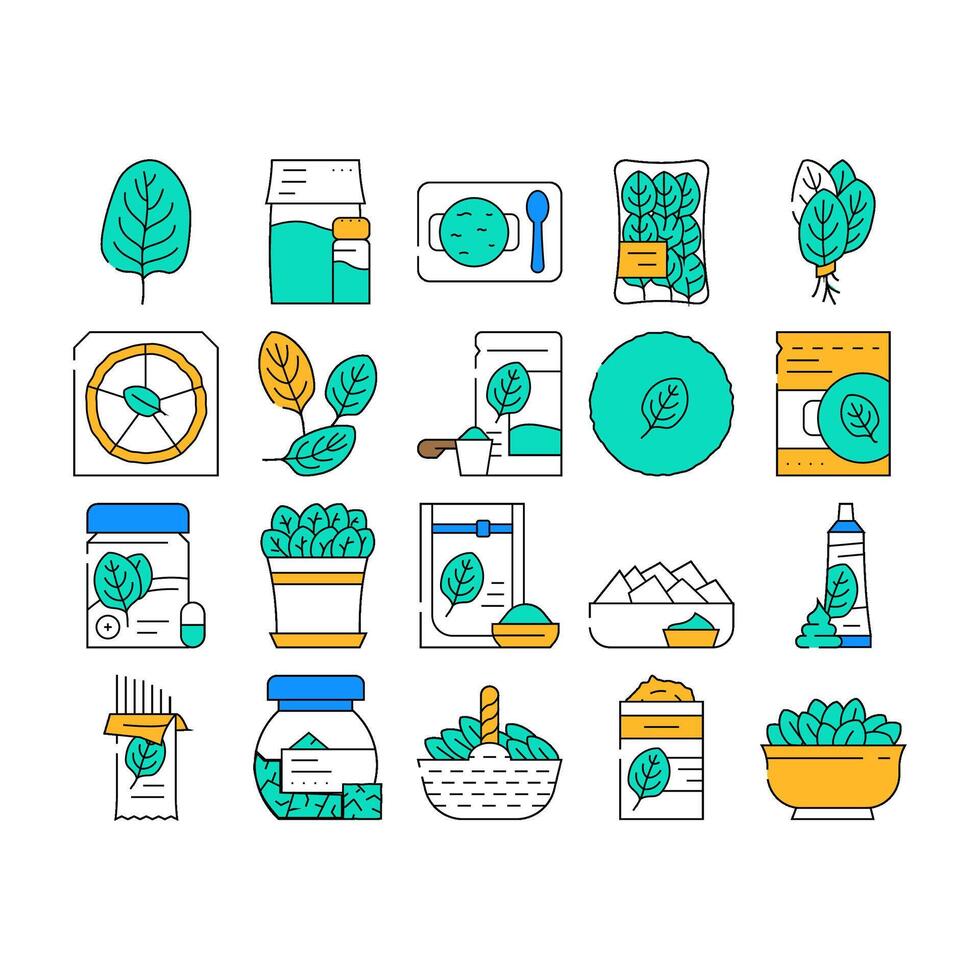 spinach leaf salad green food icons set vector
