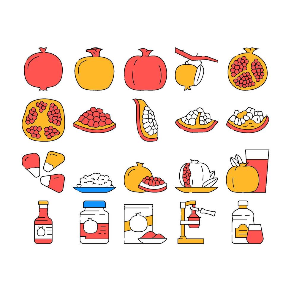 pomegranate fruit nature organic icons set vector