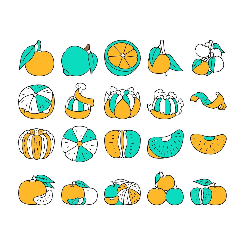 mandarin citrus fruit icons set vector