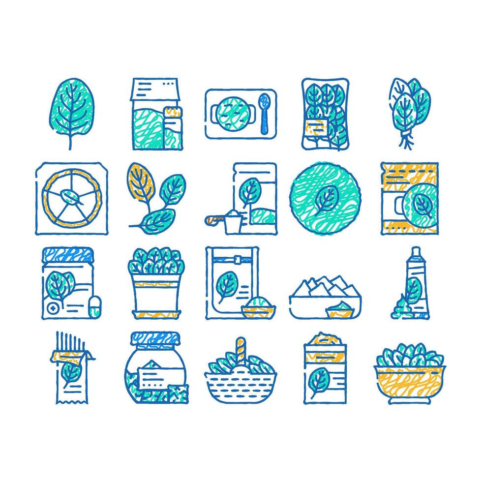 spinach leaf salad green food icon hand drawn vector