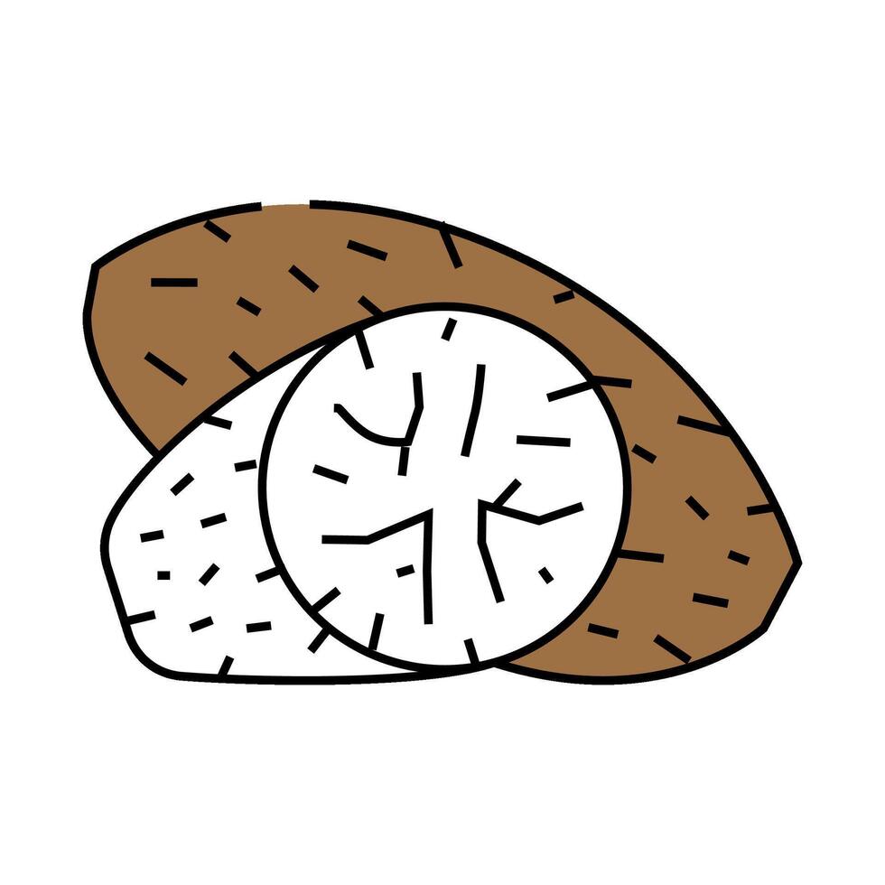 nutmeg spice icon color illustration vector