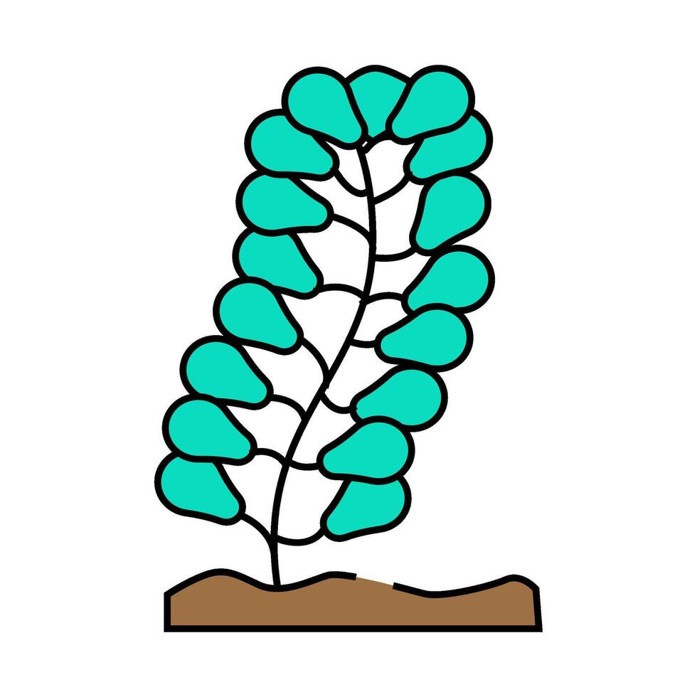 caulerpa lentillifera seaweed icon color illustration vector