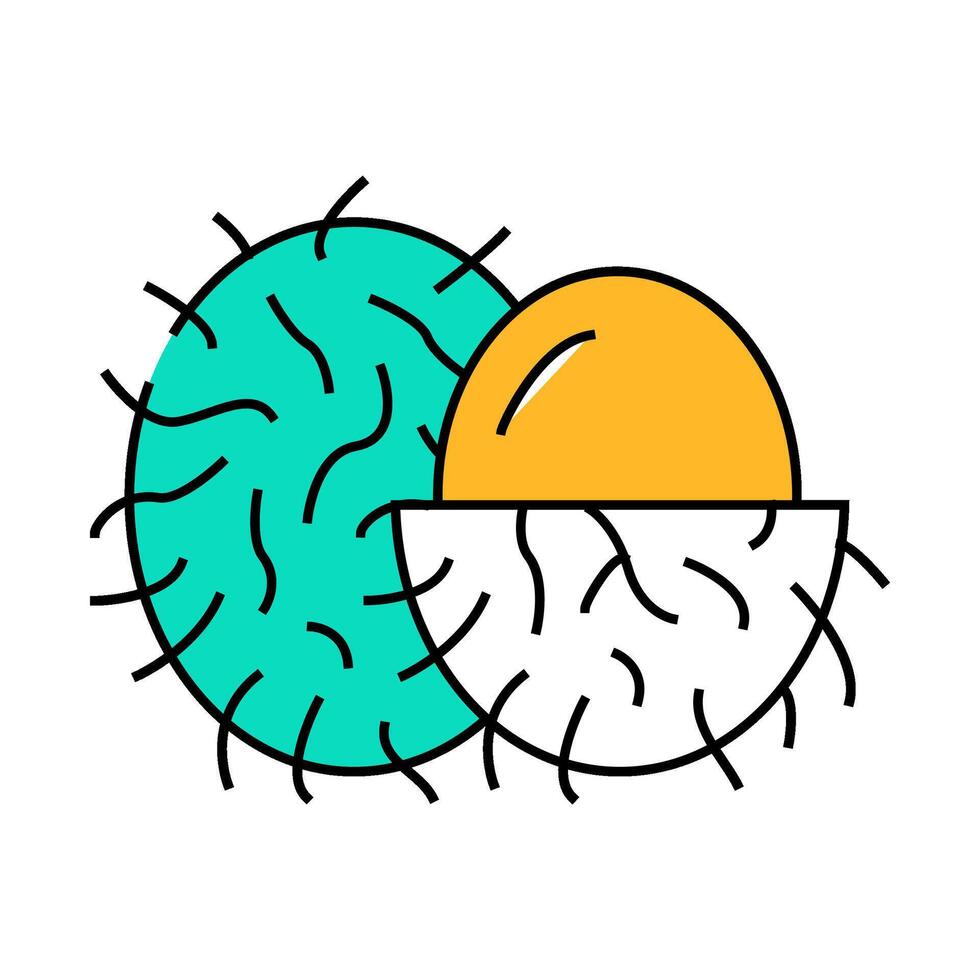 rambutans fruit icon color illustration vector