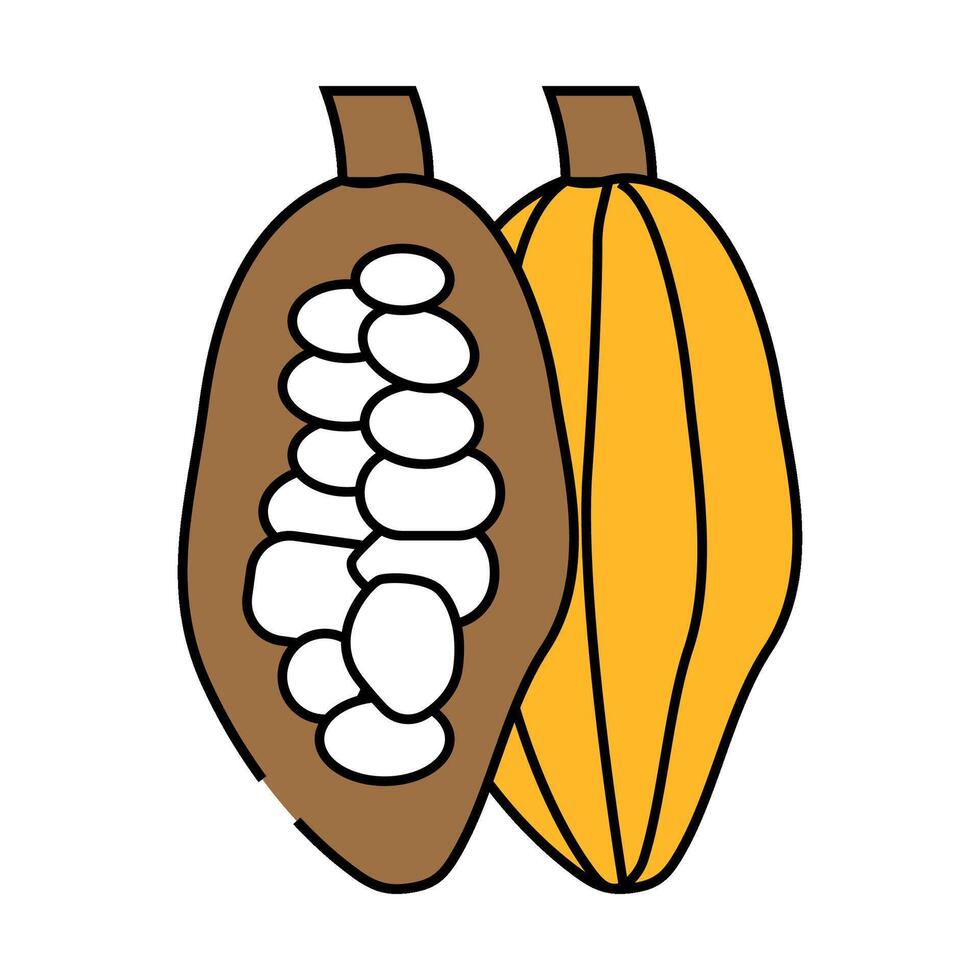 cocoa beans icon color illustration vector