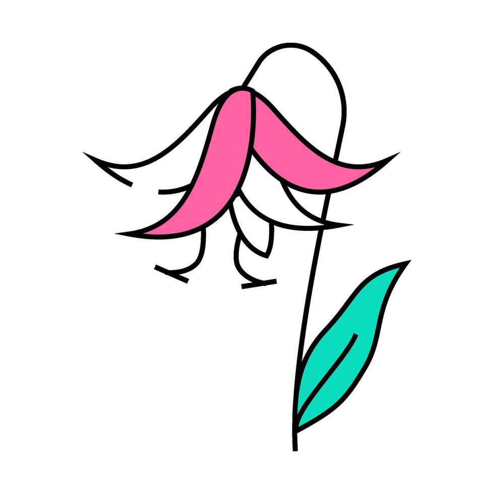 lilium natural flower icon color illustration vector