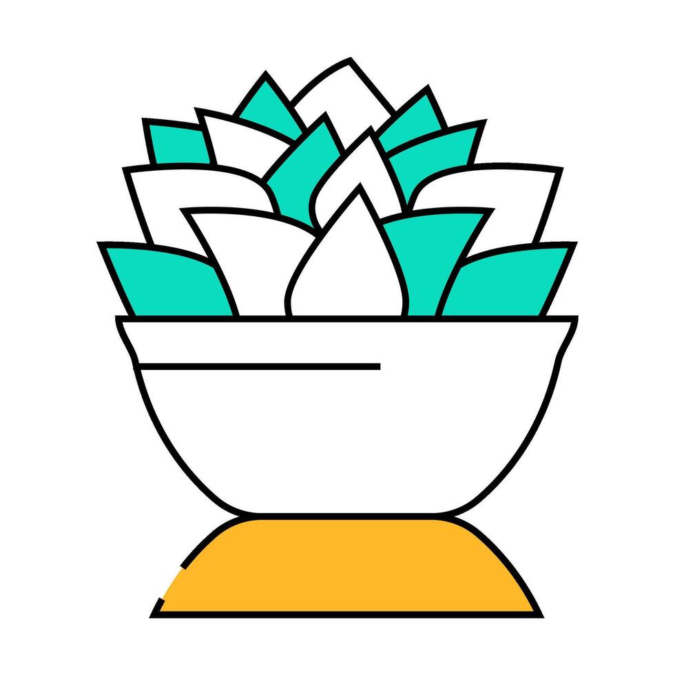 echeveria lola icon color illustration vector