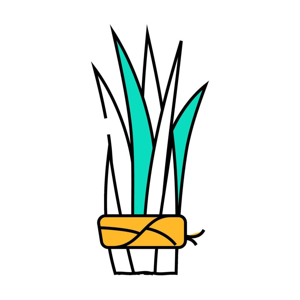 related algae plant icon color illustration vector