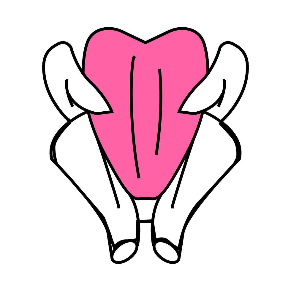 broiler chicken carcass icon color illustration vector