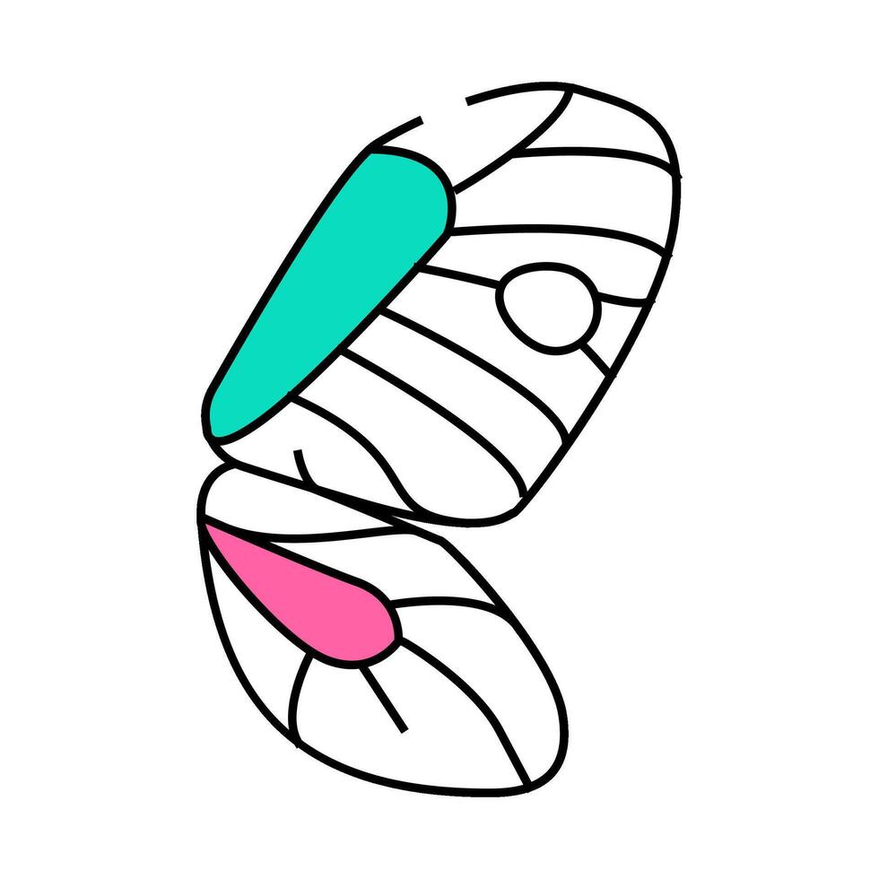 butterfly wing icon color illustration vector