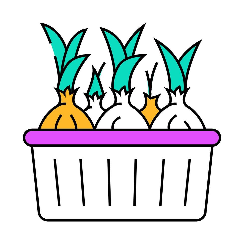 home seedling onion icon color illustration vector