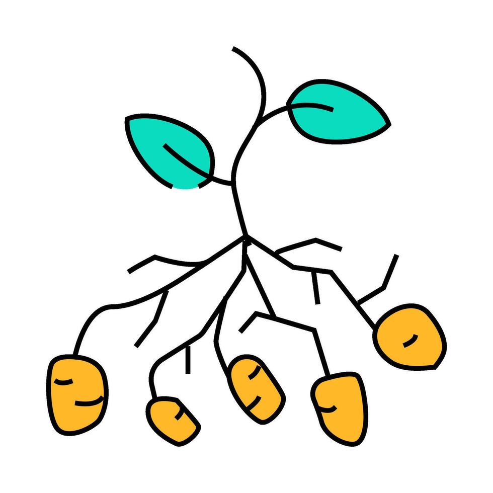 potato bush plant icon color illustration vector