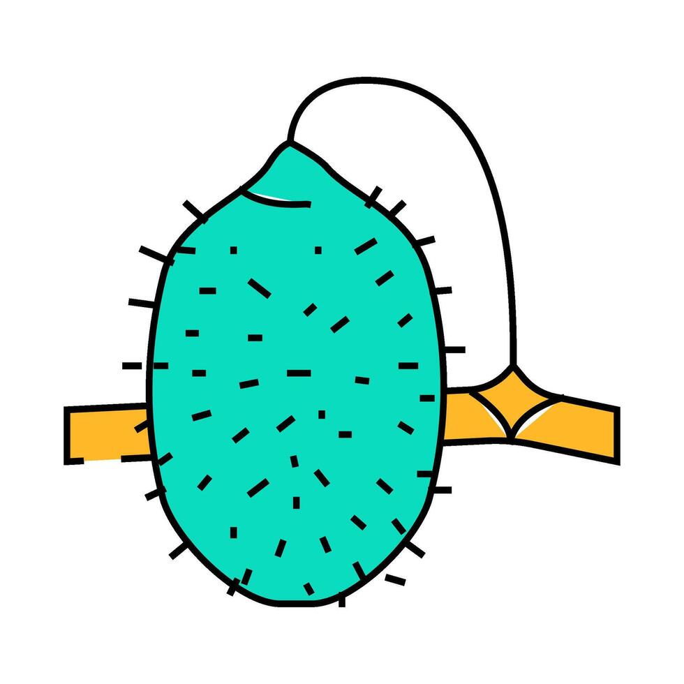 cucumber anguria icon color illustration vector