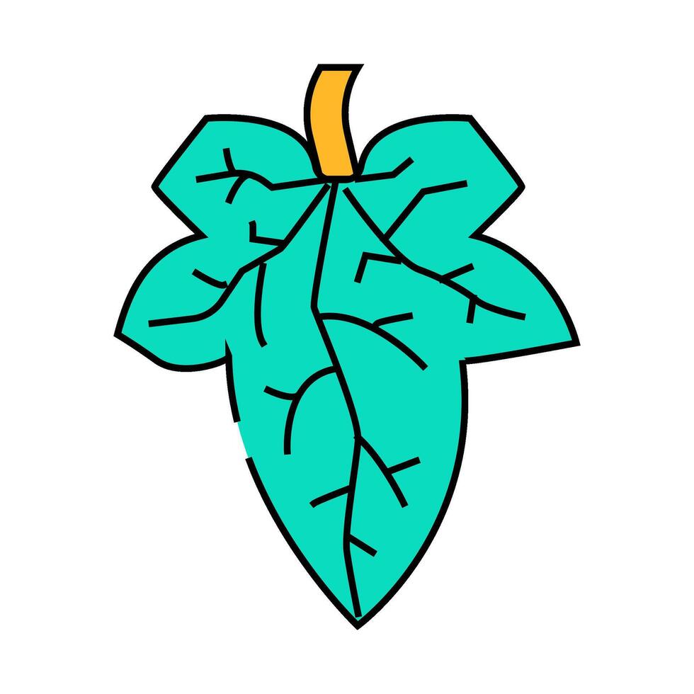 cucumber leaf icon color illustration vector
