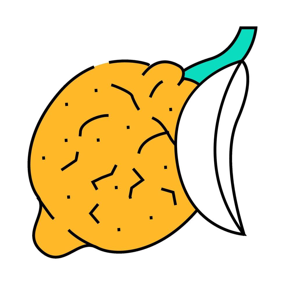 tsitron maxima icon color illustration vector