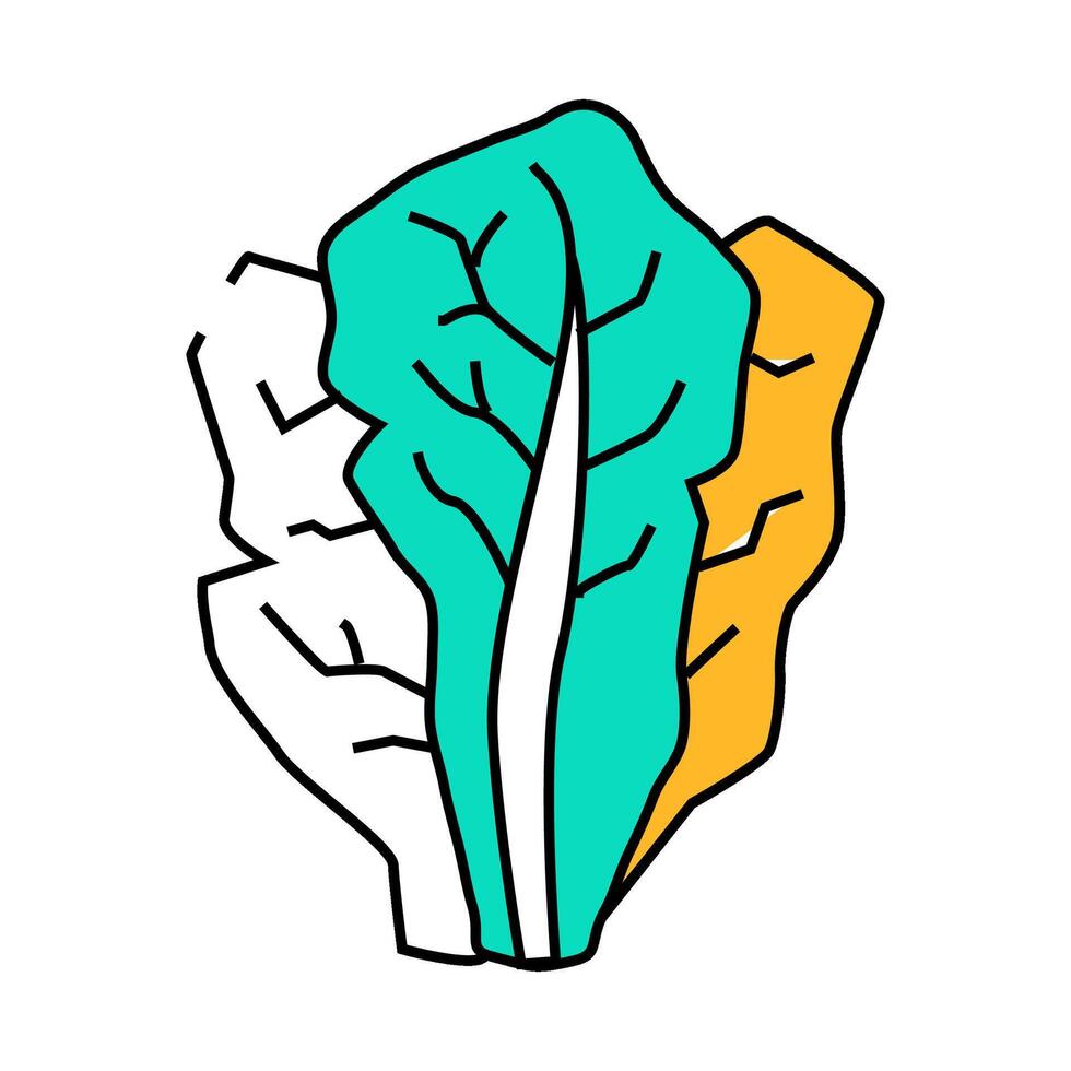 lettuce food icon color illustration vector