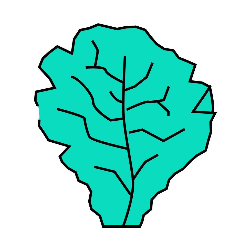 lettuce salad icon color illustration vector