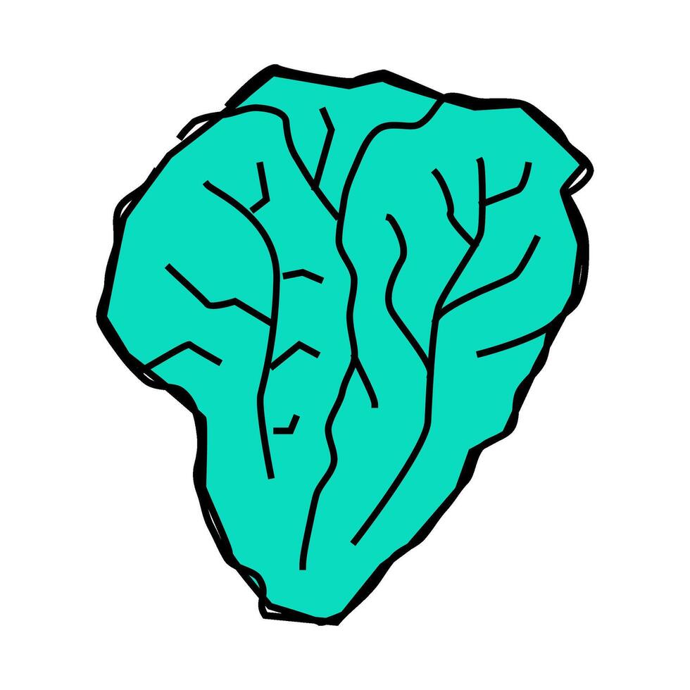 lettuce green icon color illustration vector