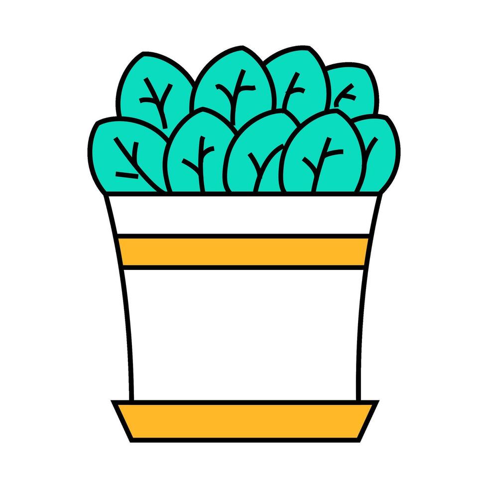 home growing spinach icon color illustration vector