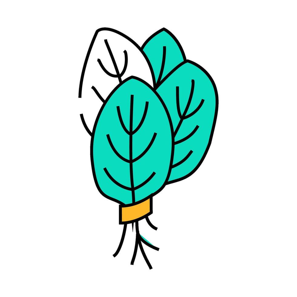 bunches spinach icon color illustration vector
