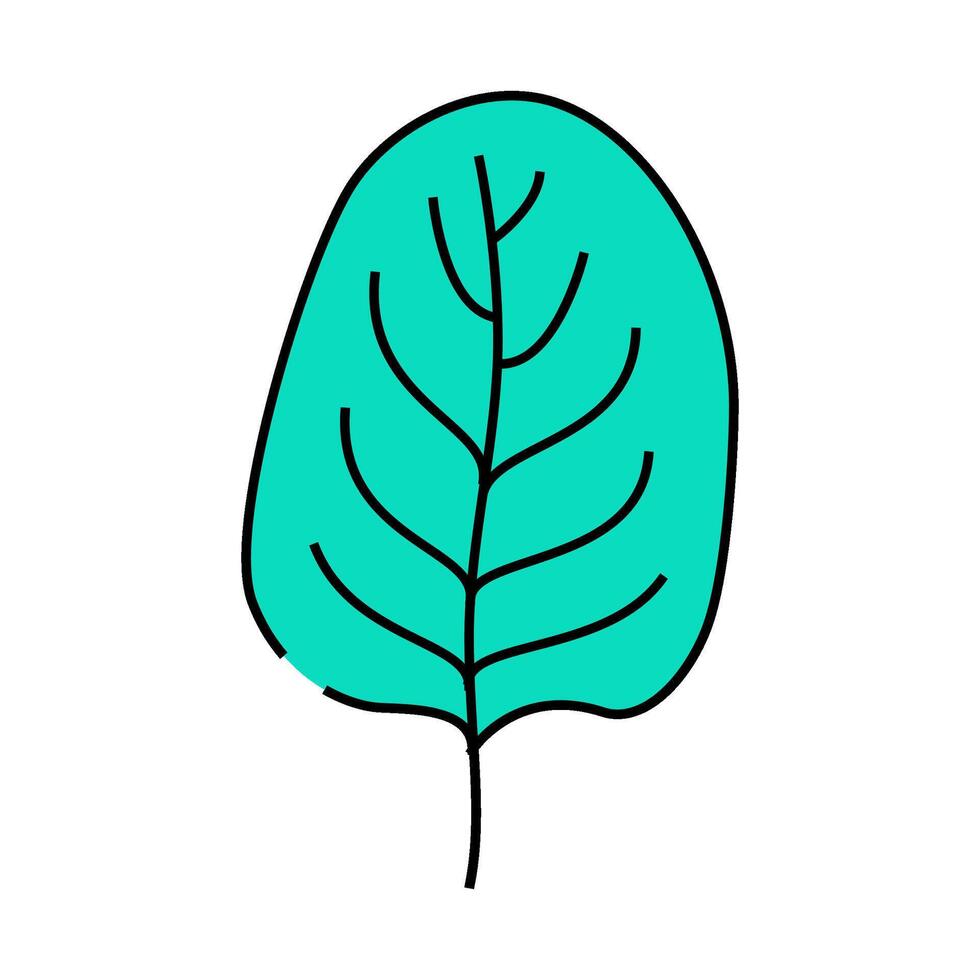 spinach leaf icon color illustration vector