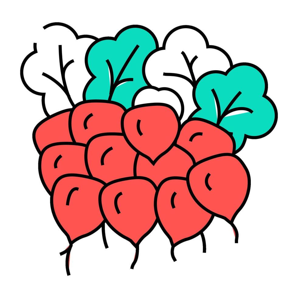 bunch radish icon color illustration vector
