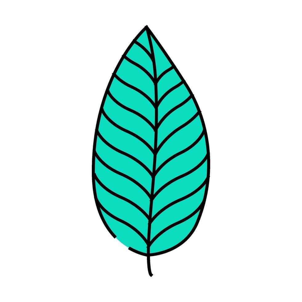 calathea tropical leaf icon color illustration vector