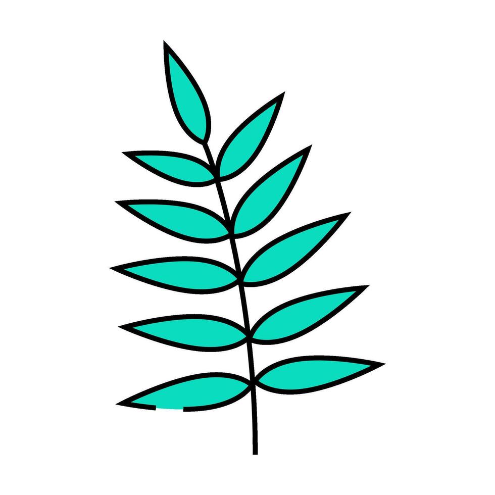 chamaedorea tropical leaf icon color illustration vector