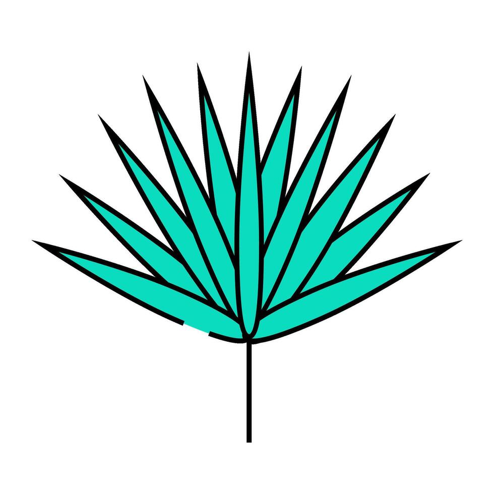 chamaerops tropical leaf icon color illustration vector