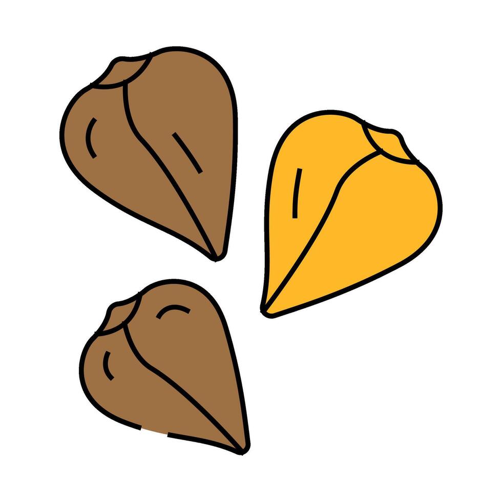 buckwheat grain healthy icon color illustration vector