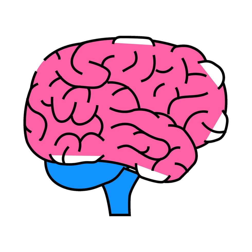 brain human icon color illustration vector