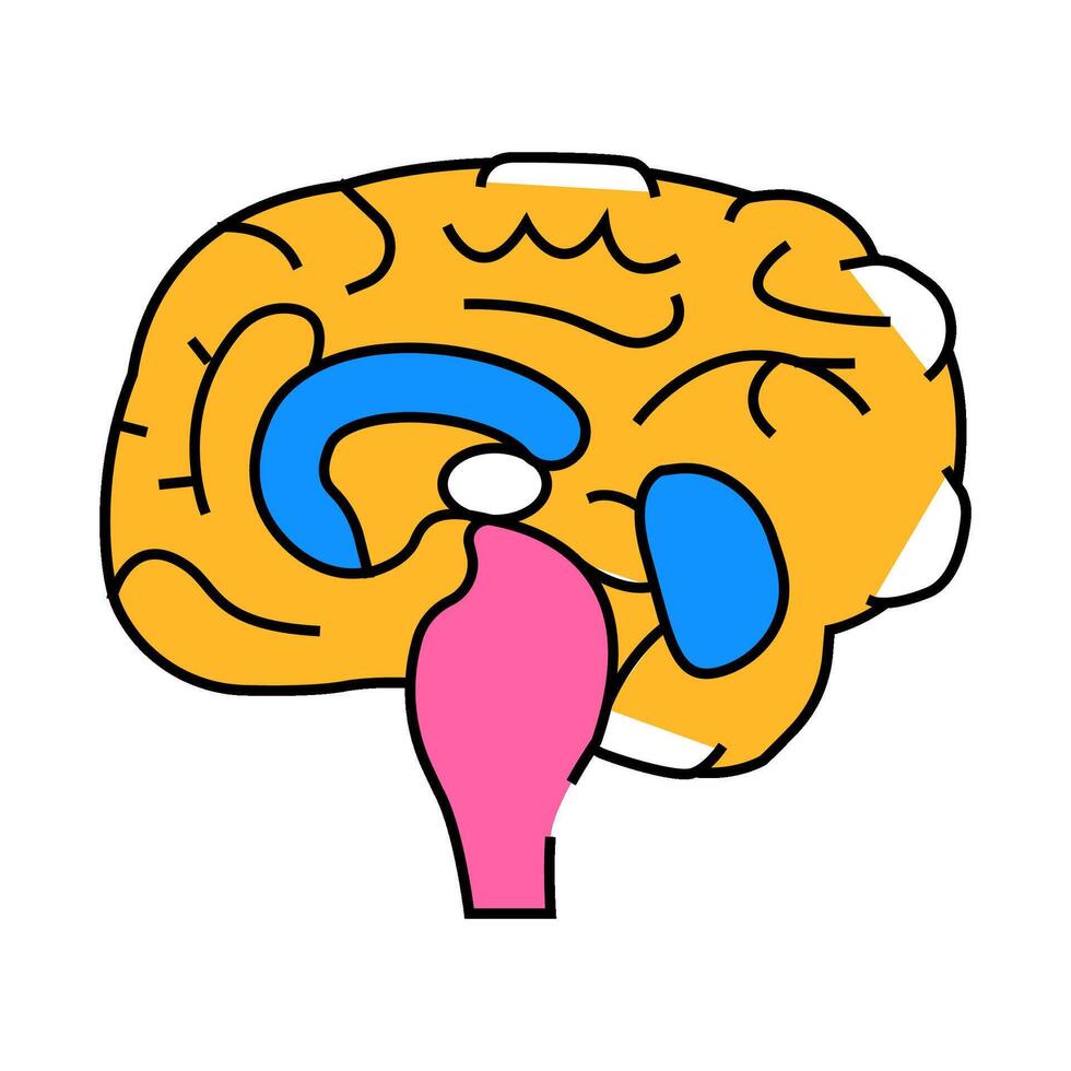 neurology brain icon color illustration vector