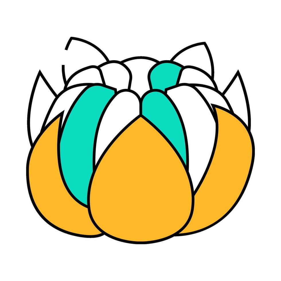 clementine mandarin icon color illustration vector