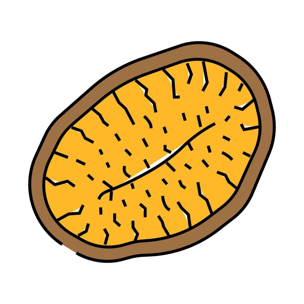 kiwi dried fruit icon color illustration vector