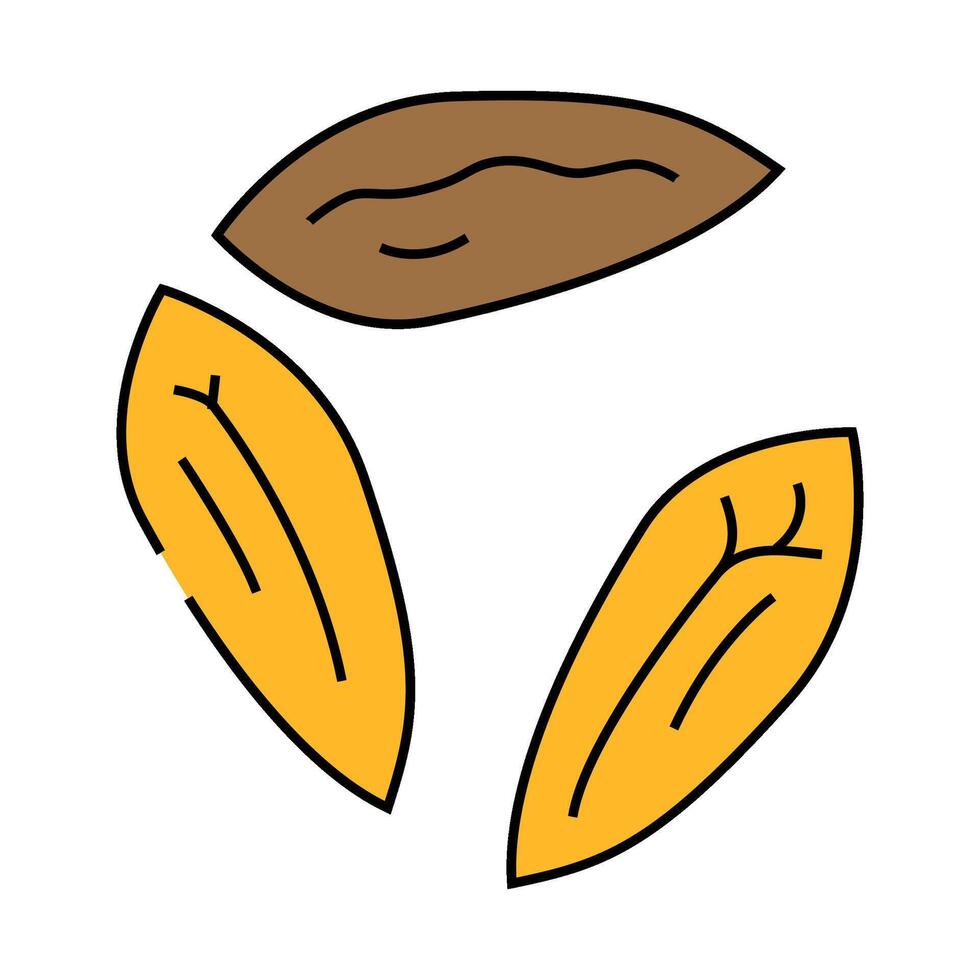 barley grain unpeeled icon color illustration vector