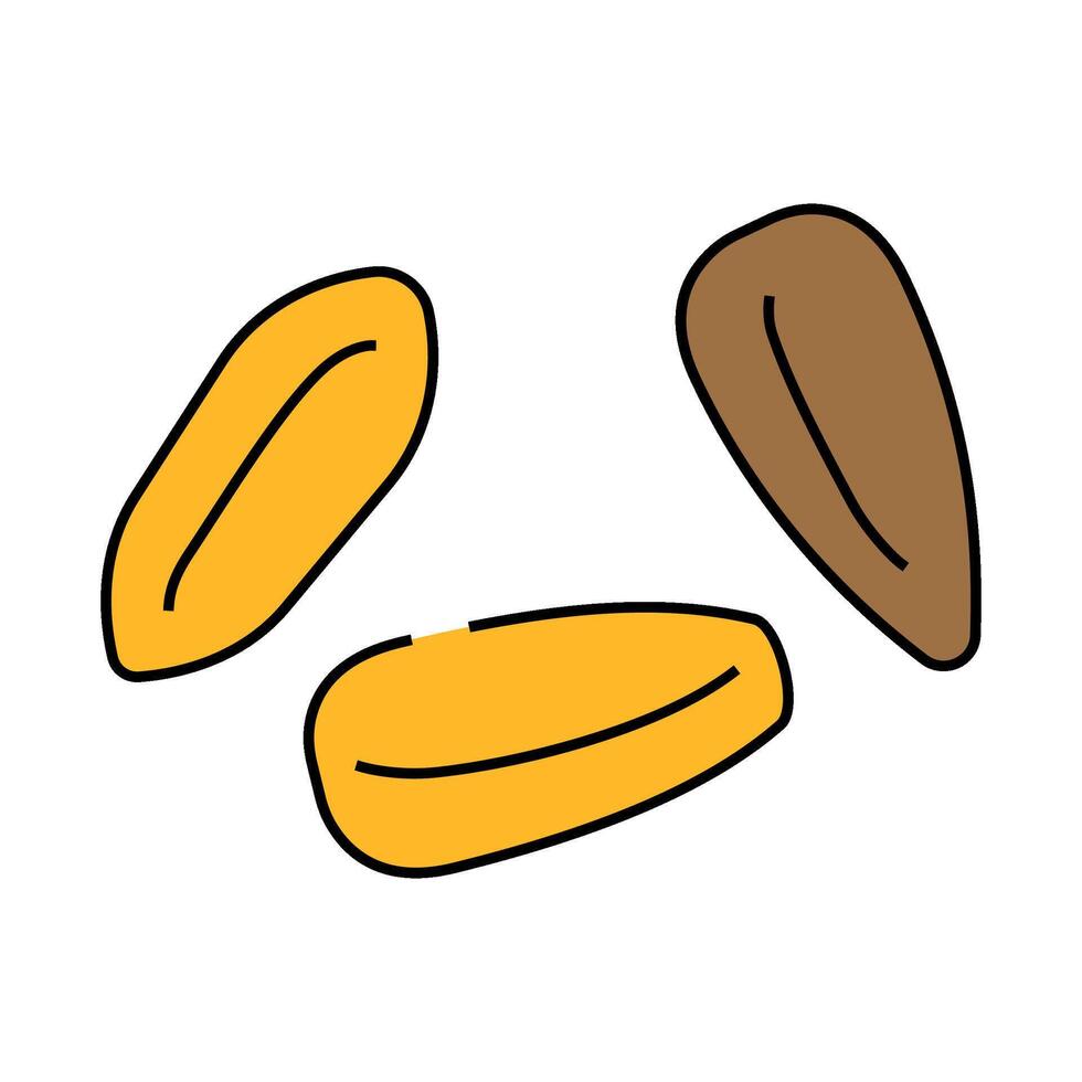 barley grain peeled icon color illustration vector